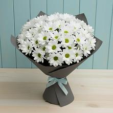 Букет цветов из:  Хризантемы #REPLACE_PRED# Батуринской