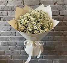 Букет цветов из:  Ромашки в Батуринской