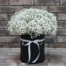 Цветочная композиция из Гипсофила в шляпной коробке #REPLACE_PRED# Батуринской