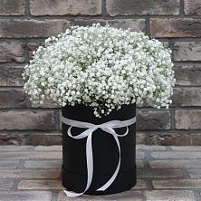 Цветочная композиция из Гипсофила в шляпной коробке в Батуринской