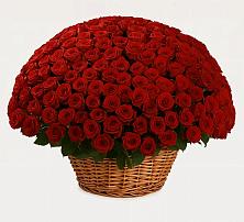 Премиум букет из: Розы в Батуринской